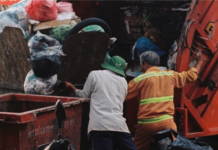 Día del Recolector (a): el reconocimiento debe transformarse en acción