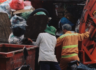 Día del Recolector (a): el reconocimiento debe transformarse en acción