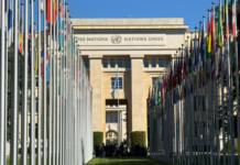 Crisis de la ONU: propuestas de reformas debaten expertos nacionales e internacionales