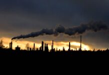 El carbono en disputa: el mercado climático que Chile intenta construir entre los decretos retirados y la megarreforma de Kast