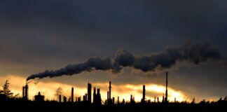 El carbono en disputa: el mercado climático que Chile intenta construir entre los decretos retirados y la megarreforma de Kast