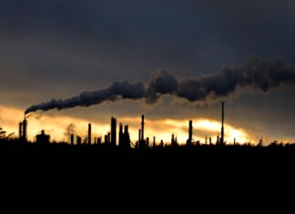 El carbono en disputa: el mercado climático que Chile intenta construir entre los decretos retirados y la megarreforma de Kast