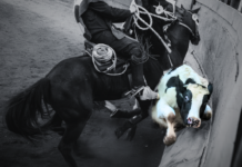 El rodeo y la masculinidad de la muerte