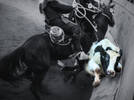 El rodeo y la masculinidad de la muerte