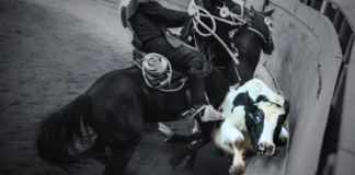 El rodeo y la masculinidad de la muerte