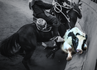 El rodeo y la masculinidad de la muerte