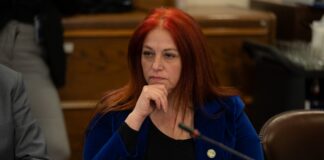 Proyecto de diputada Cucumides que busca tipificar el uso de menores para delinquir tuvo respaldo unánime en la Comisión de Constitución