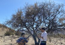 La guitarra trepa por Chile en documental de Danilo Cabaluz