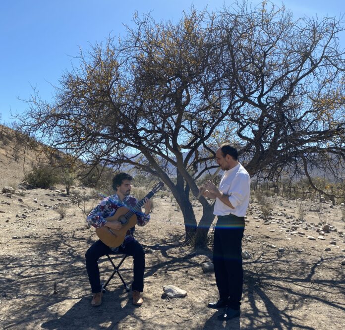 Foto guitarras