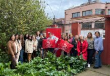 Mujeres socialistas de La Araucanía realizan encuentro programático en Temuco: «No vinimos a lamentarnos. Vinimos a organizarnos»