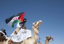 Cómo Marruecos intenta convertir la ocupación del Sáhara Occidental en un hecho irreversible