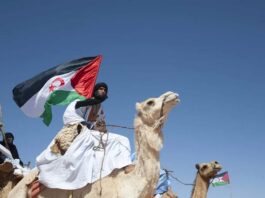 Cómo Marruecos intenta convertir la ocupación del Sáhara Occidental en un hecho irreversible