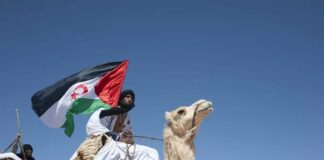 Cómo Marruecos intenta convertir la ocupación del Sáhara Occidental en un hecho irreversible