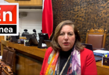 Senadora Vodanovic ofició a Interior por cuadro de Pinochet en DPP Linares: “Quién autorizó y con qué criterio”