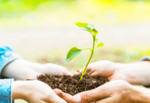 UCT ofrece curso gratuito y certificado sobre sustentabilidad y cambio climático