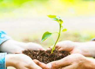 UCT ofrece curso gratuito y certificado sobre sustentabilidad y cambio climático