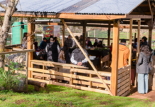 Vecinos de Temuco recuperan técnicas de cultivo y saberes tradicionales en escuela comunitaria