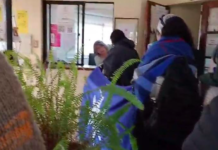 Sembrando, comunidades mapuche y campesinas esperan respuesta a su recurso de protección contra el SAG