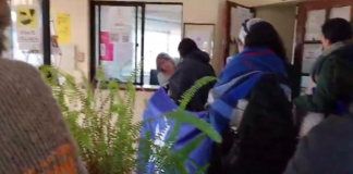 Sembrando, comunidades mapuche y campesinas esperan respuesta a su recurso de protección contra el SAG