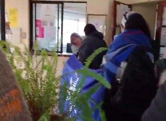 Sembrando, comunidades mapuche y campesinas esperan respuesta a su recurso de protección contra el SAG
