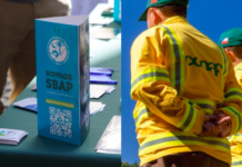 Funcionarios y funcionarias emplazan a CONAF y SBAP por garantías laborales ante traspaso al nuevo servicio