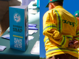 Funcionarios y funcionarias emplazan a CONAF y SBAP por garantías laborales ante traspaso al nuevo servicio