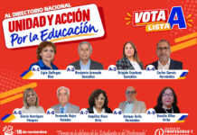Carta abierta: Brigada de profes socialistas