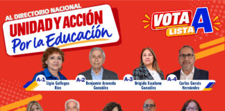 Carta abierta: Brigada de profes socialistas